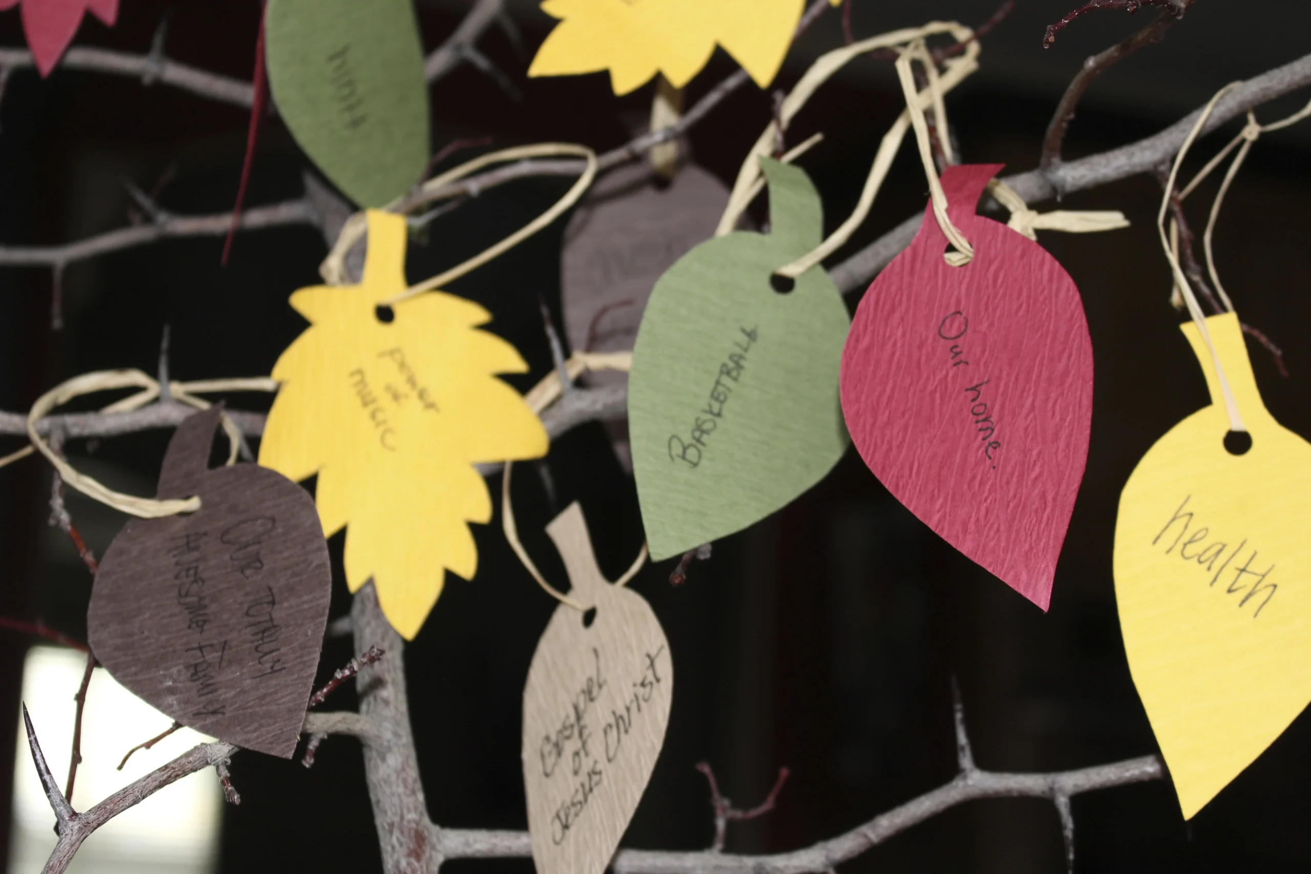 Gratitude Tree