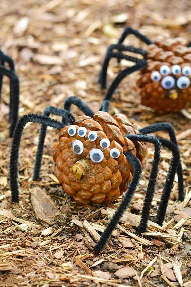 How to Make a Pine Cone Spider
