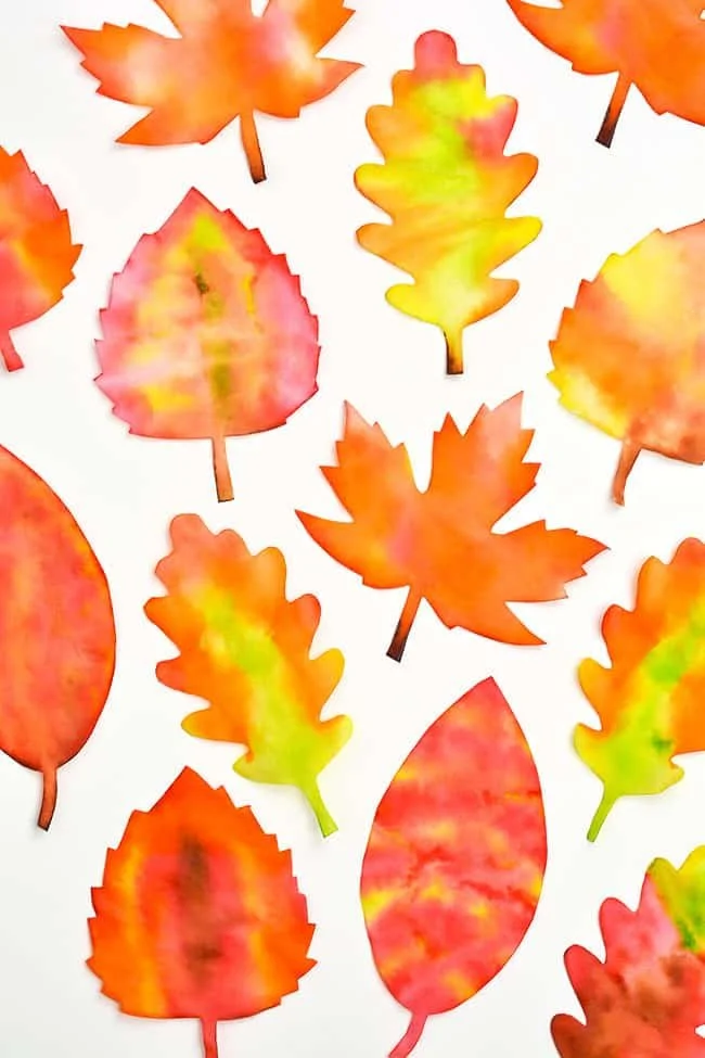 How to Make Coffee Filter Leaves